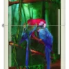 Carol Cavalaris – Design “Jewels of the Jungle” Carol Cavalaris – Design “Jewels of the Jungle”