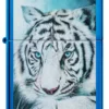 Carol Cavalaris – Disegno della tigre bianca Carol Cavalaris – Disegno della tigre bianca