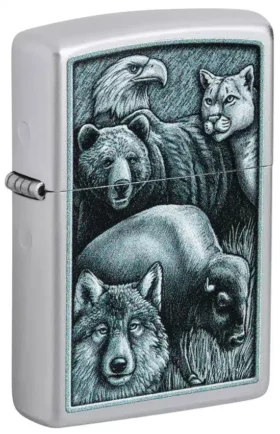 Design “Animal Kingdom”