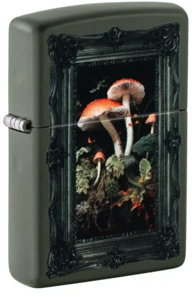 Design con funghi incorniciati