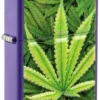 Design con motivi di cannabis Design con motivi di cannabis