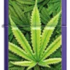 Design con motivi di cannabis Design con motivi di cannabis