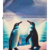 Design con pinguini Design con pinguini
