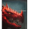 Design del drago Design del drago