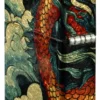 Design Dragon Fusion Fusion