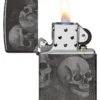Design “Skull Collector” Design “Skull Collector”
