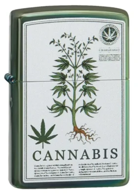Design verde lucido con motivo a cannabis