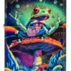 Design “Zen Frog” Design “Zen Frog”