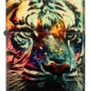 Disegno della tigre dipinta