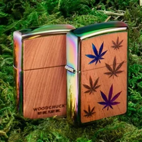Emblema Woodchuck USA con foglie multicolori