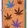 Emblema Woodchuck USA con foglie multicolori Emblema Woodchuck USA con foglie multicolori