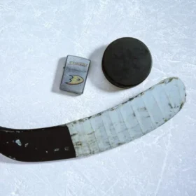 Logo degli Anaheim Ducks®