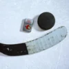 Logo degli Ottawa Senators®