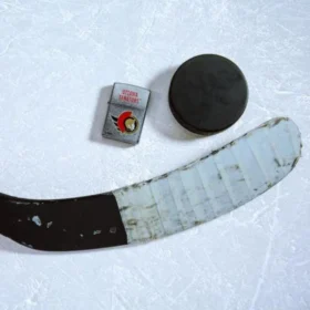 Logo degli Ottawa Senators®
