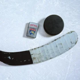 Logo dei Florida Panthers®