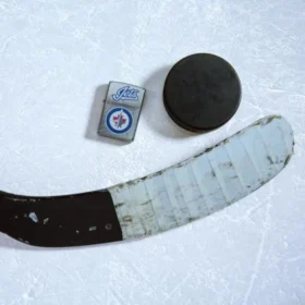 Logo dei Winnipeg Jets™