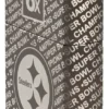 Oggetto da collezione dei campioni del Super Bowl – Pittsburgh Steelers Oggetto da collezione dei campioni del Super Bowl – Pittsburgh Steelers